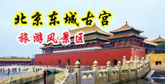 国产水逼com中国北京-东城古宫旅游风景区